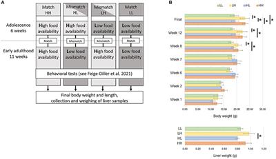The Impact of Varying Food Availability on Gene Expression in the Liver: Testing the Match-Mismatch Hypothesis
